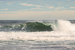Plum island photo
