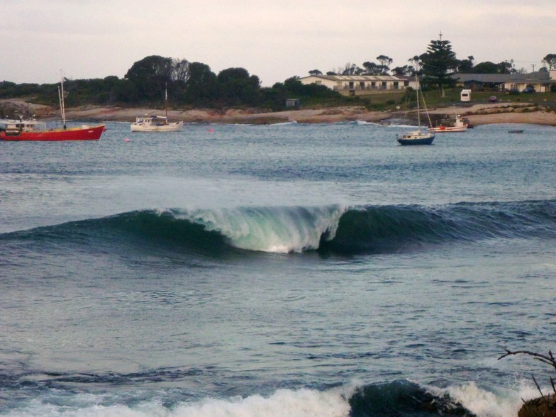 Sea Life's, Redbill Beach