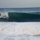 Sea Life's, Redbill Beach