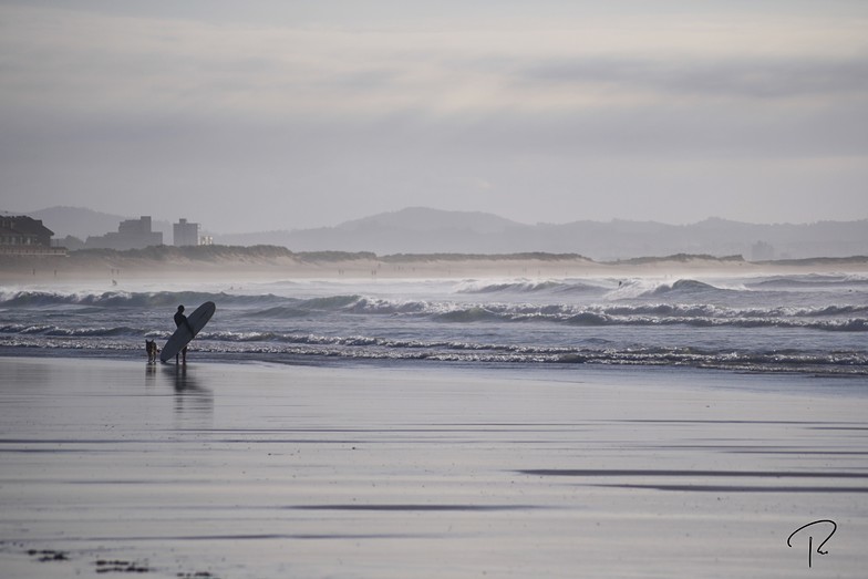 Observando, Playa de Somo