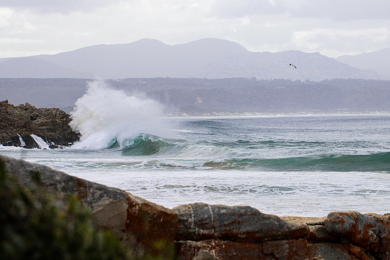 empty wedge, The Wedge