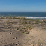 Lot of space...Sud-Ouest coast, Le Porge