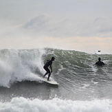 Big surf on 1/6/21, Linkys