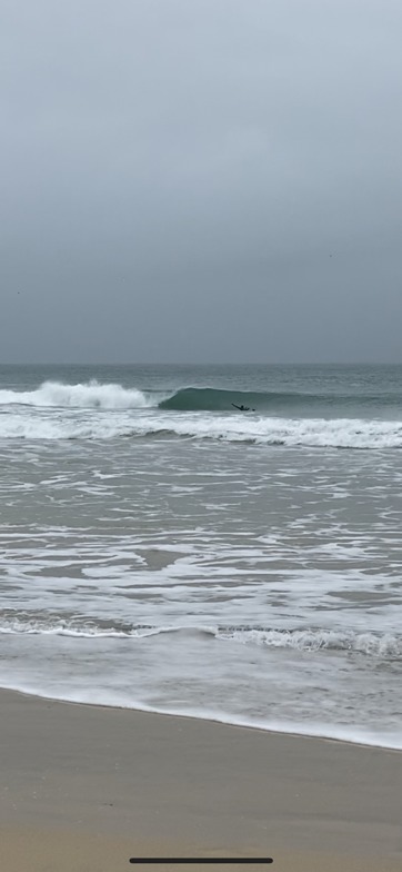 Gwidden, St Ives Harbour Wall