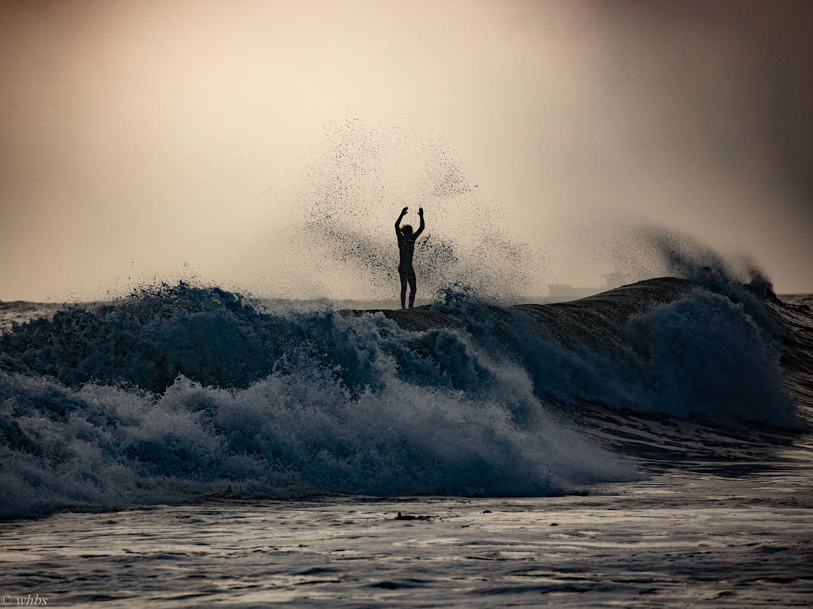 Thank you! The beaches are open again., Pastures