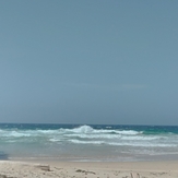 Boca or sharkbay, Wariruri