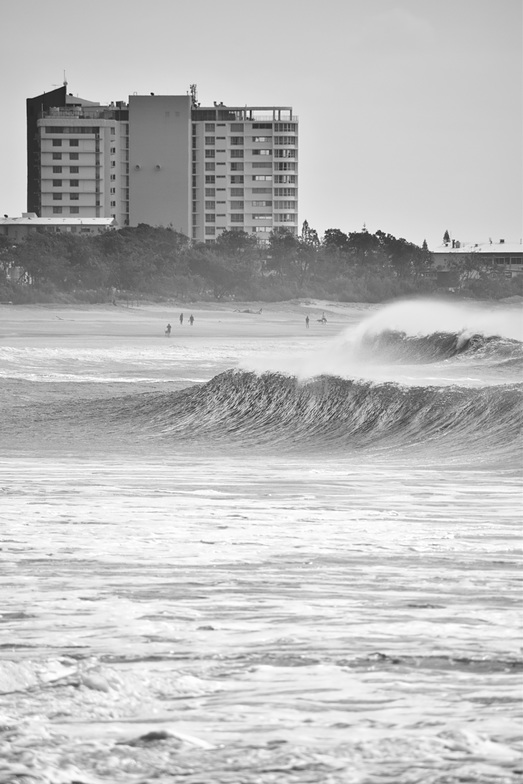 Surf's Up, Alexandra Headland