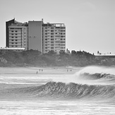 Surf's Up, Alexandra Headland