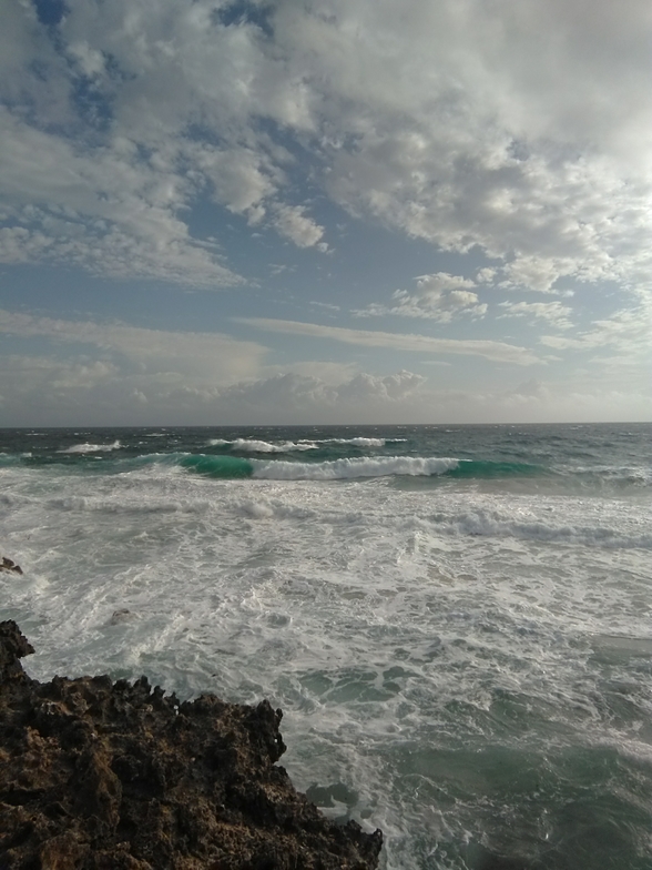 Shark Bay surf break