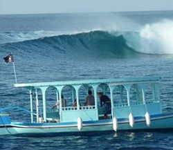 Sultans  photo