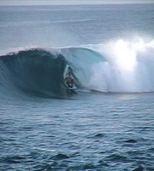 Sultans  photo