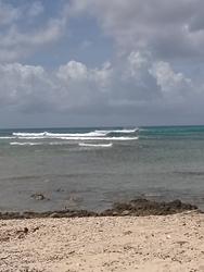Rancho, Arashi Bay Reef photo