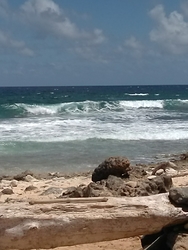 Dunes also dooms photo