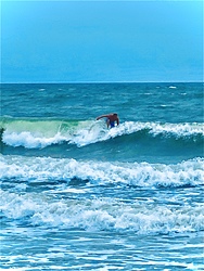 Kyle closed out, Indian River (Northside) photo