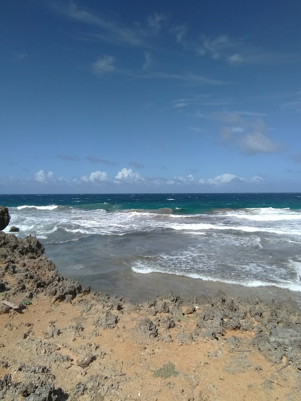 Boca also Shark Bay
