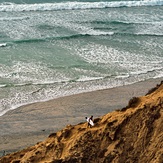 Black’s Beach Overview, Blacks Beach