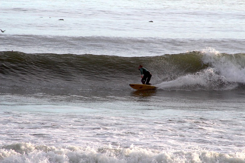 Clean, Long Beach