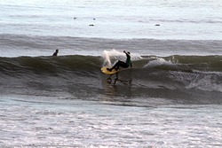 Clean, Long Beach photo