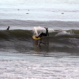 Clean, Long Beach