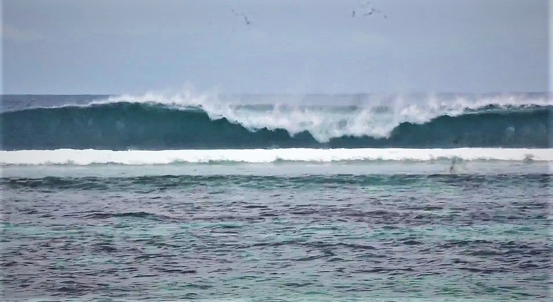 Anse Bougainville