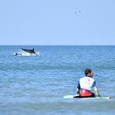 Plage de Grand Village, Ile d'Oleron - Grand Village