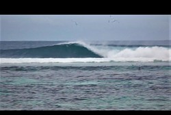 Anse Bougainville photo