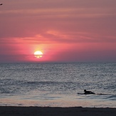 Spring Time Dawn Patrol, 48th Street