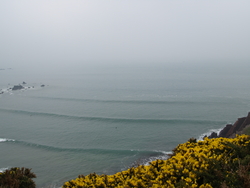 3-4ft CLEAN, West Dale photo