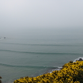 3-4ft CLEAN, West Dale