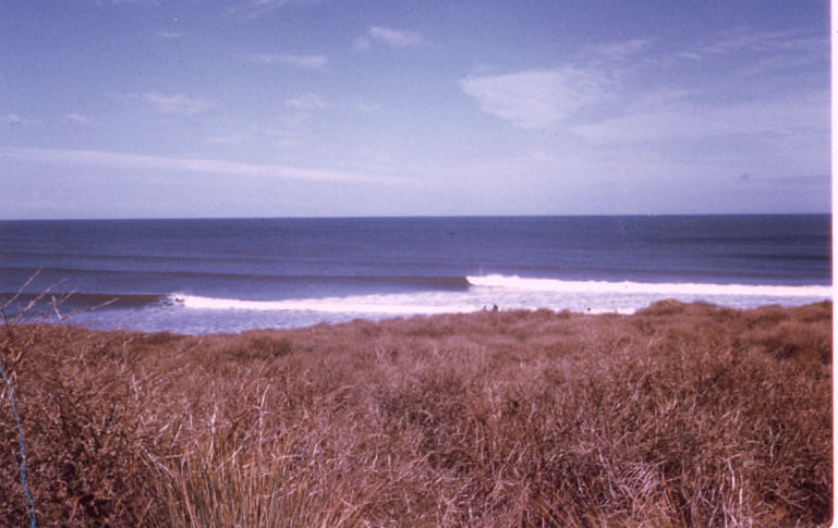 The Fences surf break