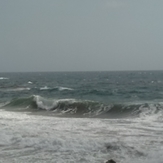Boca or shark bay