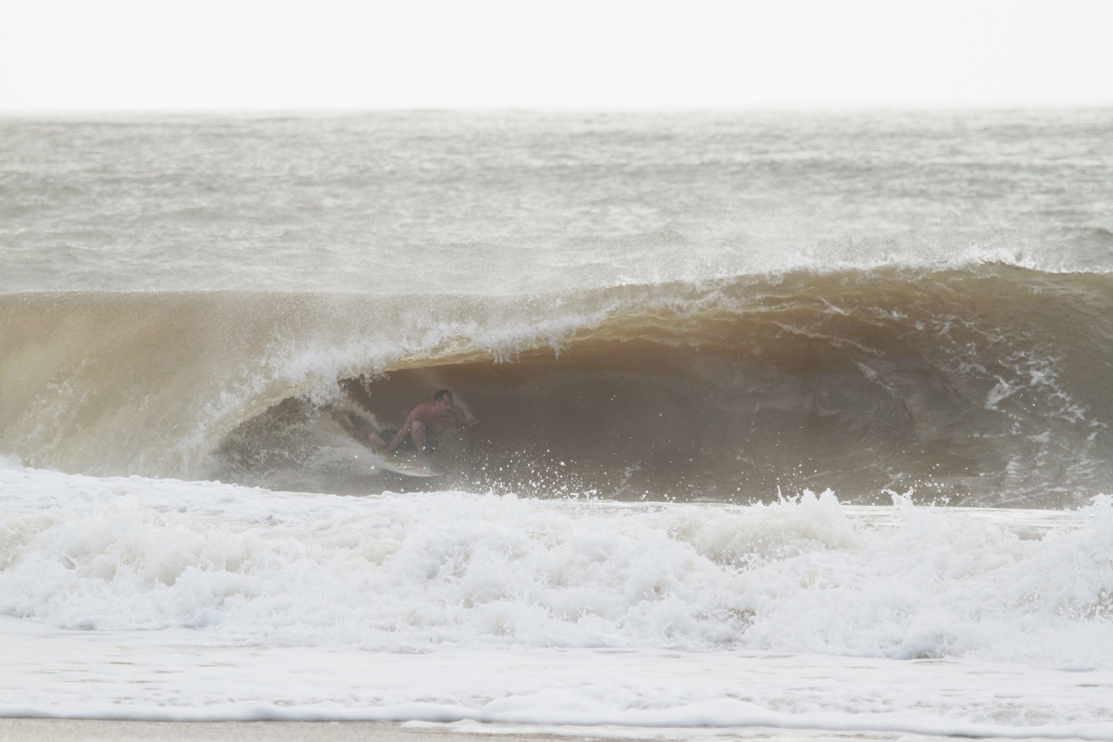 @paschoal.diniz, Regencia