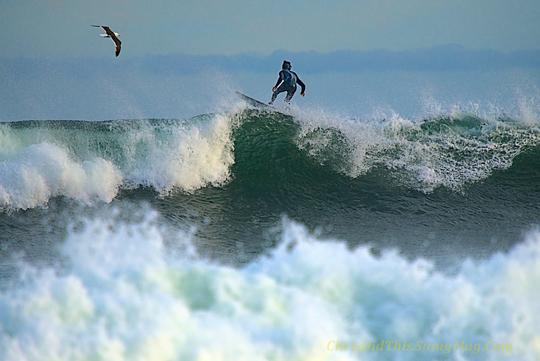 Leo Carrillo Firing in June as Sun Drops