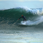 Leo Carrillo Firing in June as Sun Drops