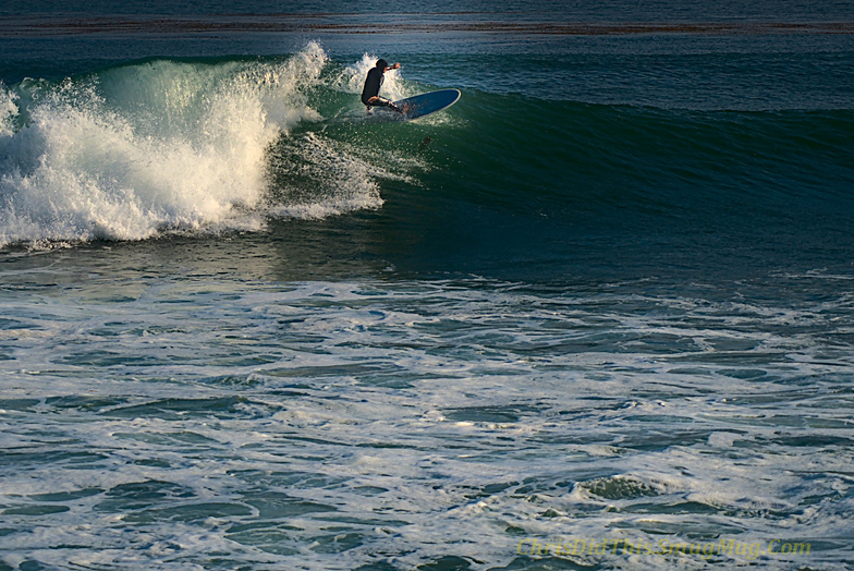 Zero Left Overs, June 4 2021, Malibu