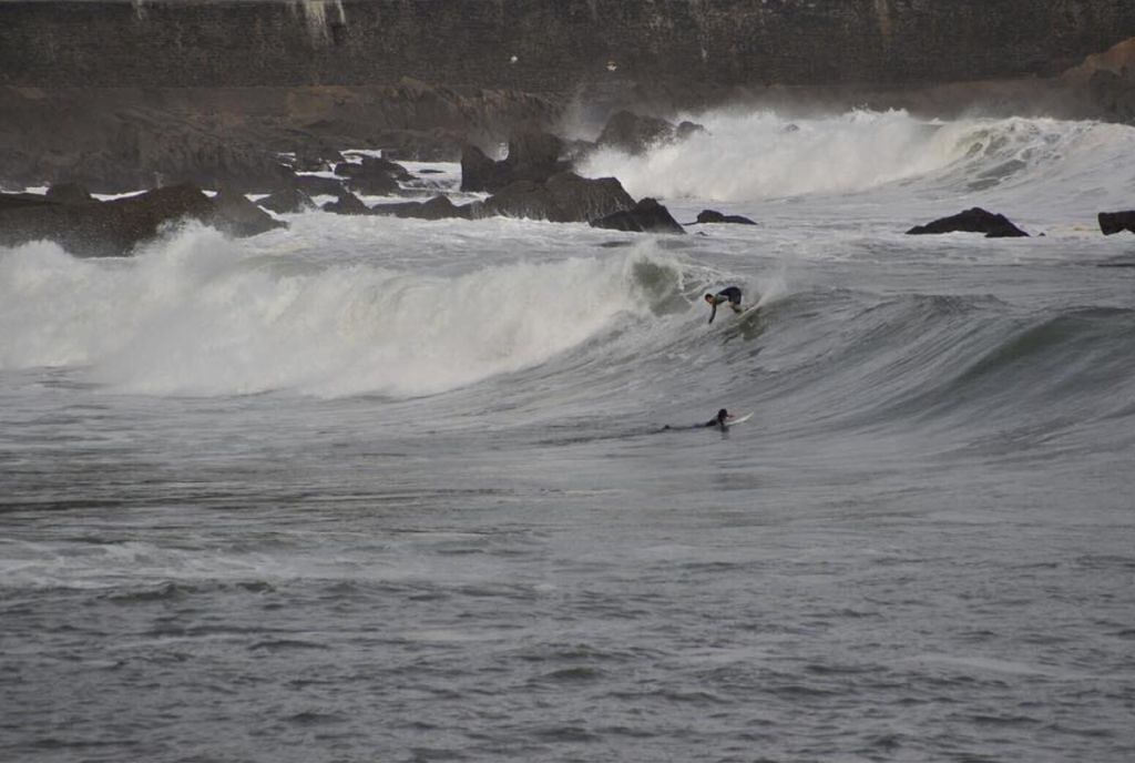 Karrmarro, Karramarro