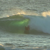 El Quisco, Algarrobo