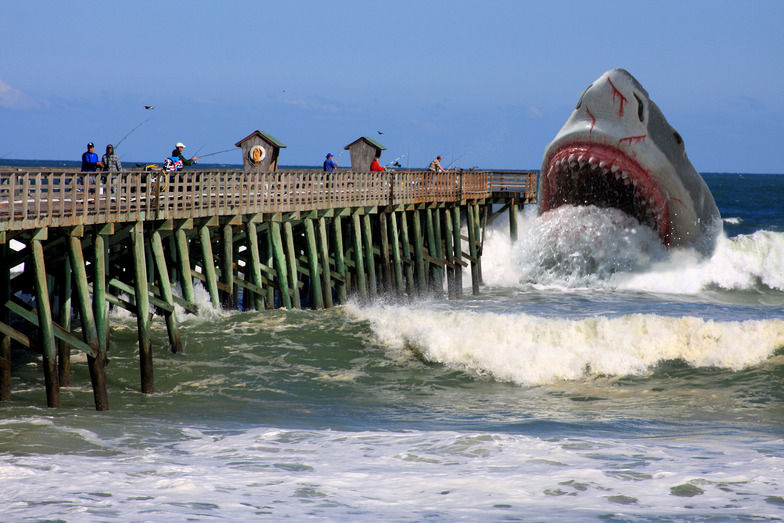 "Big Fish" at the Flagler Pier !