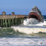 "Big Fish" at the Flagler Pier !