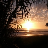 Surfing at Sunset, Celestino