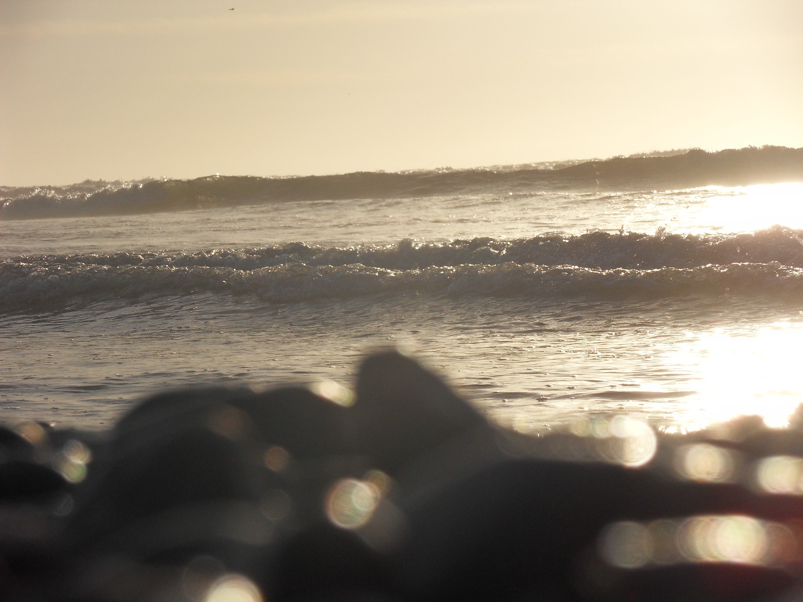 Surfing at Afternoon!, Celestino