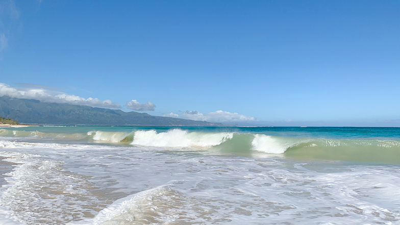 Baldwin Beach Park surf break