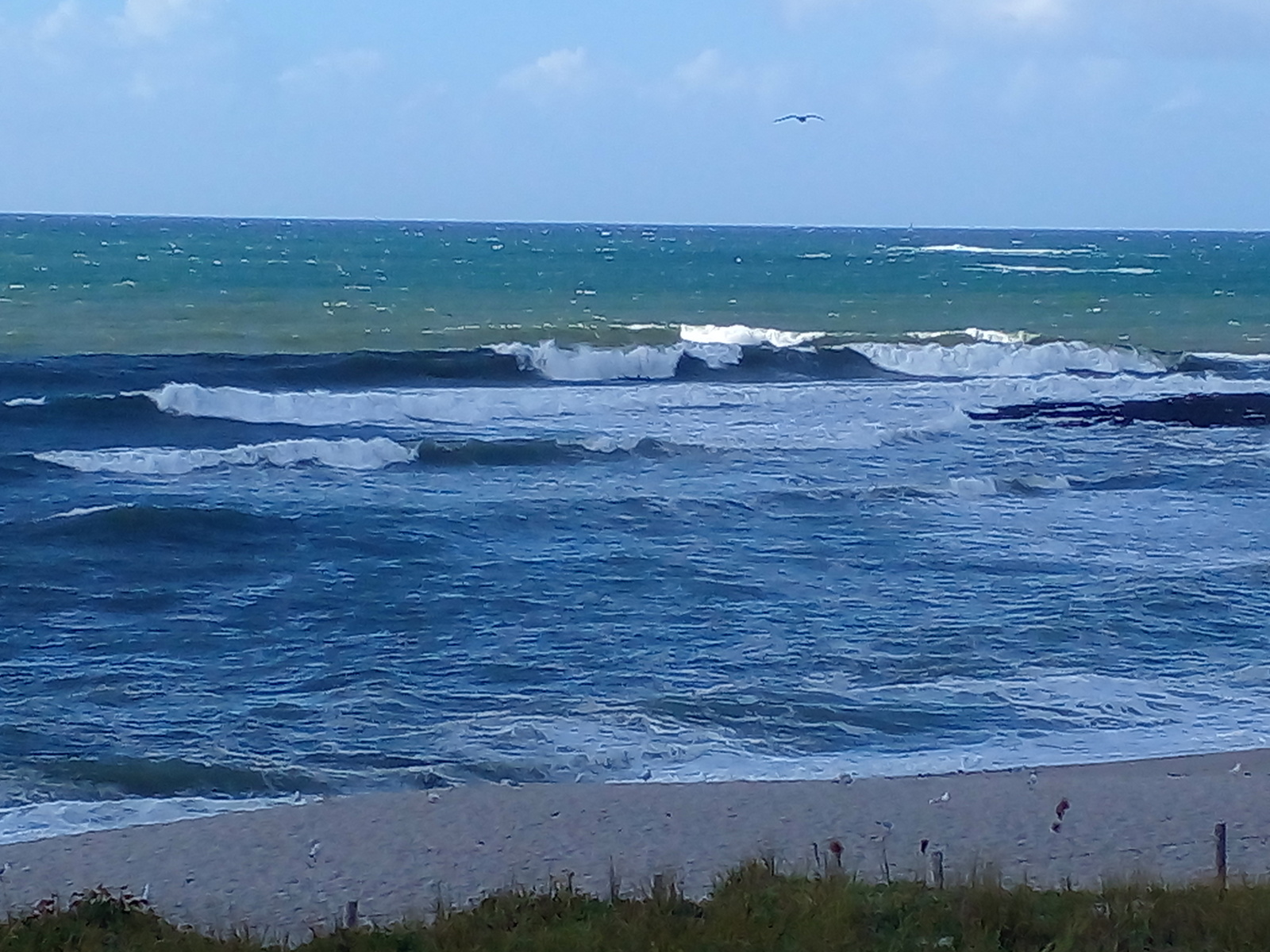 Kaolin point, Kaolins