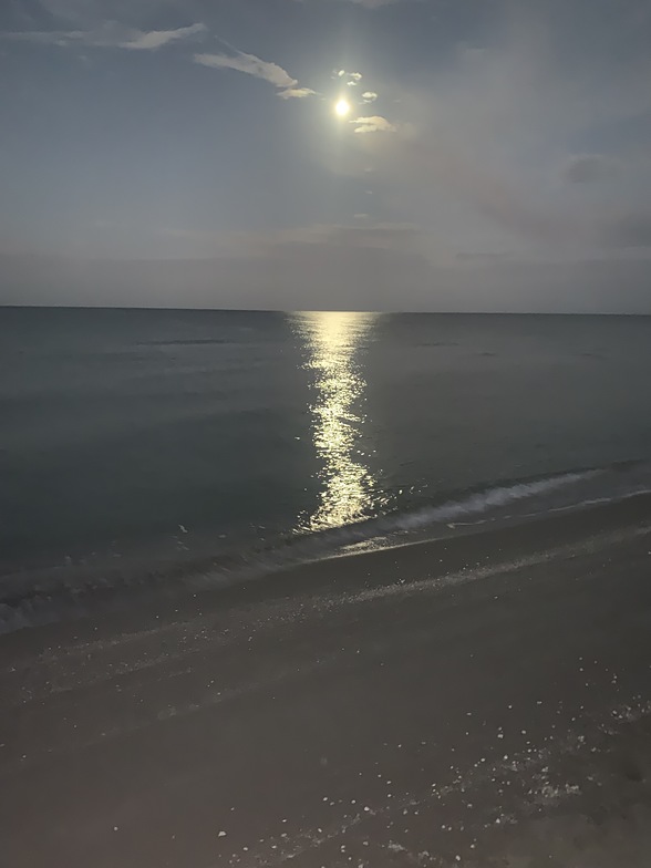 Moon over Turtle Beach