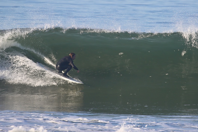 Shacktober, Bolsa Chica