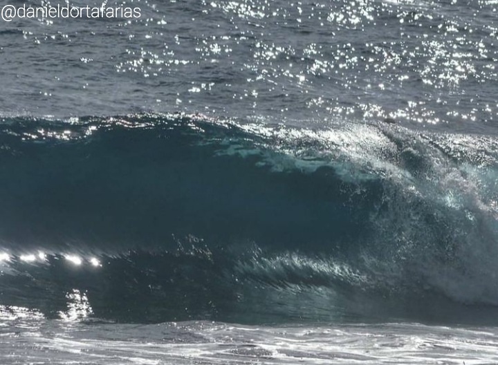 Gaviotas, Las Gaviotas
