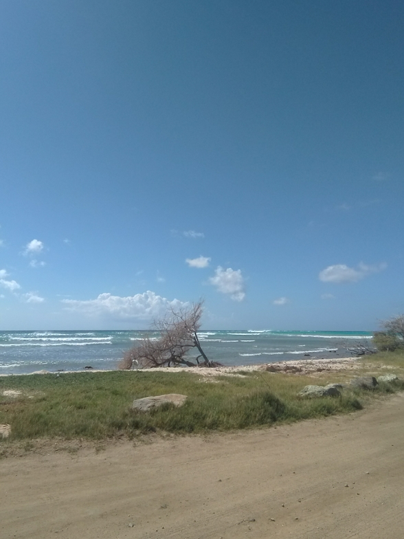 Rancho, Arashi Bay Reef