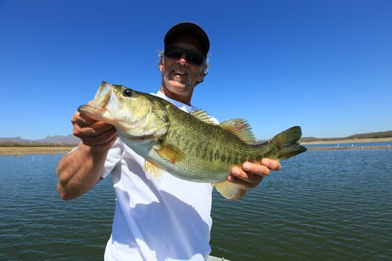 El Lee & Lake ElSallto Trophies, Celestino