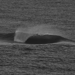 screaming, Anne Street Reef photo