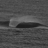 screaming, Anne Street Reef